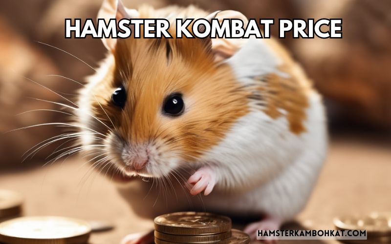 Understanding Hamster Combat Prices